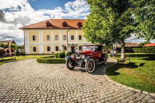 Фото Гостевой дом Castel Haller г. Ogra